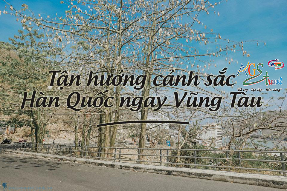 CHƯƠNG TRÌNH THAM QUAN: VŨNG TÀU "BIỂN XANH RÌ RÀO"